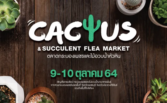 Hua-Hin Cactus & Succulent Flea