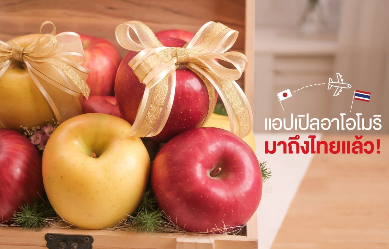 'แอปเปิลอาโอโมริ' ราชาแอปเปิลเกรดพรีเมียมจากญี่ปุ่น จัดกิจกรรมรับฤดูกาลใหม่ ส่งตรงถึงไทยแล้ว