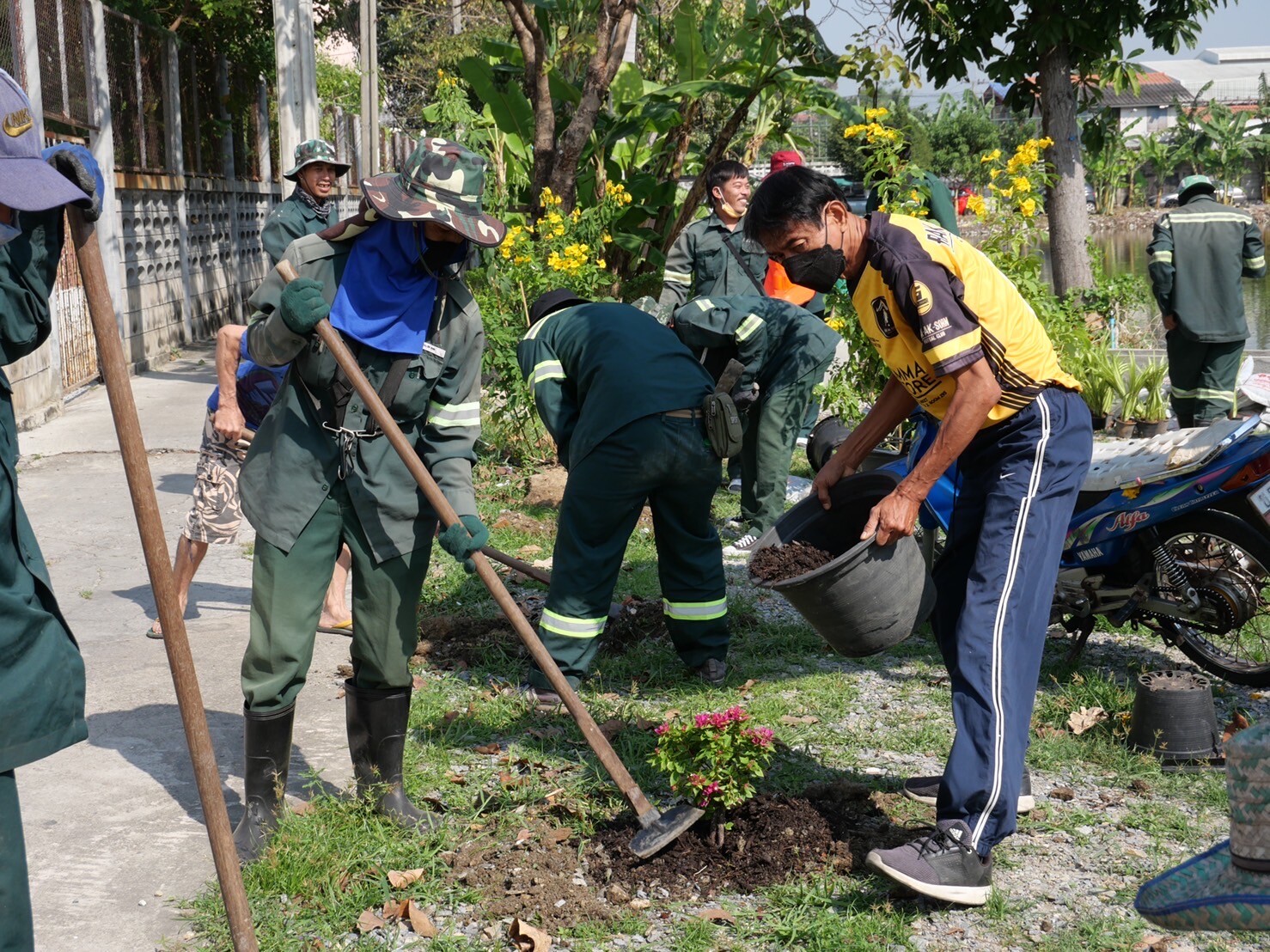 ซีแอนด์จีฯร่วมกิจกรรมปลูกต้นไม้เพิ่มพื้นที่สีเขียว ร่วมกับ ฝ่ายรักษาความสะอาดและสวนสาธารณะ สำนักงานเขตหนองแขม และประชาชนในชุมชนวัดวงษ์ลาภาราม