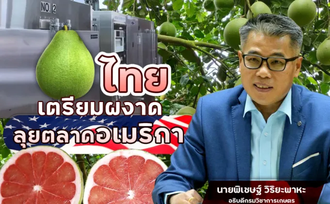 กรมวิชาการเกษตร ลุ้น 15 ปี ส้มโอไทยได้ผงาดลุยตลาดอเมริกา