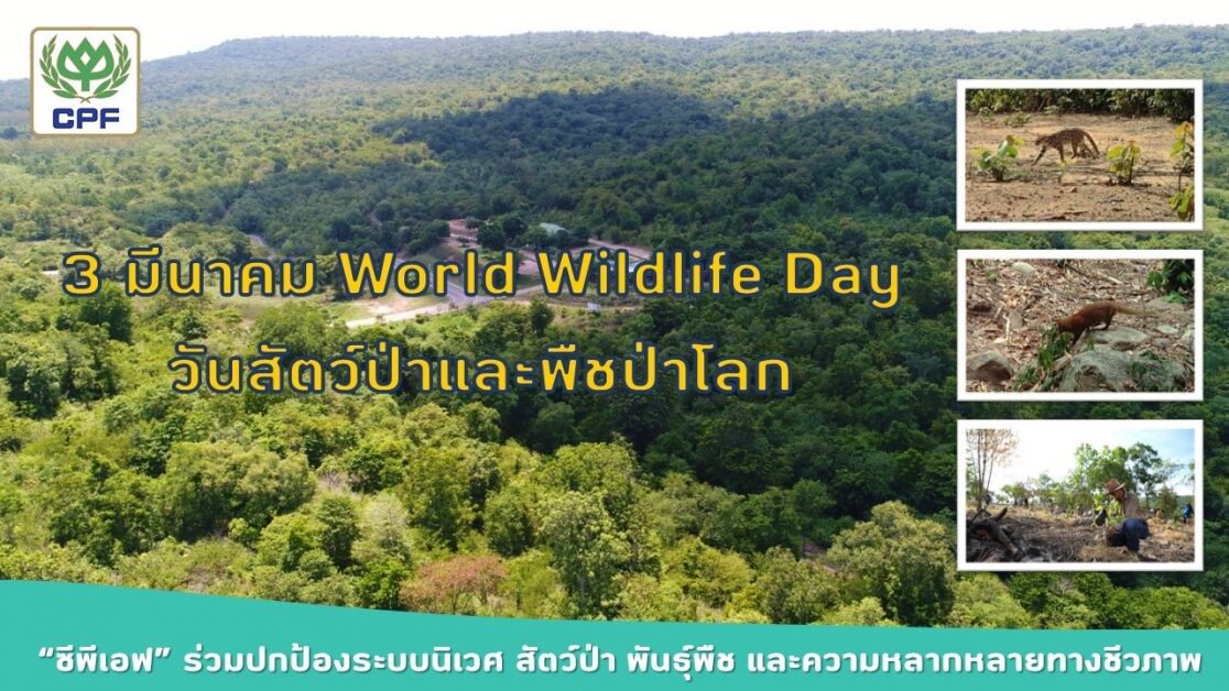 3 มี.ค. World Wildlife Day  "ซีพีเอฟ" มุ่งมั่นร่วมปกป้องระบบนิเวศ สัตว์ป่า พันธุ์พืช และความหลากหลายทางชีวภาพ