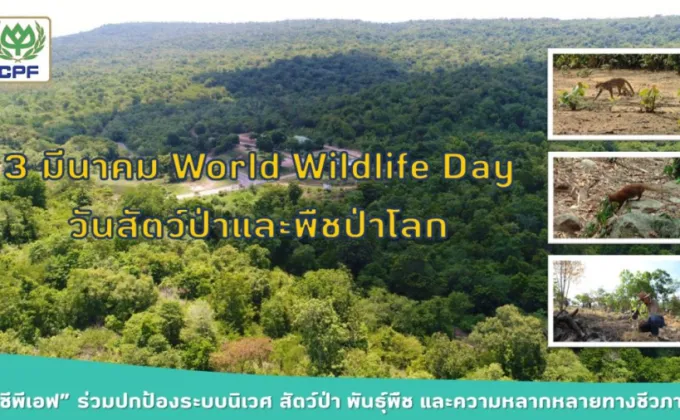 3 มี.ค. World Wildlife Day ซีพีเอฟ