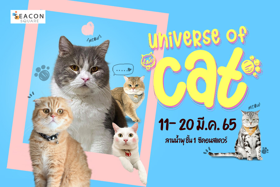 งาน " Universe  of CAT "