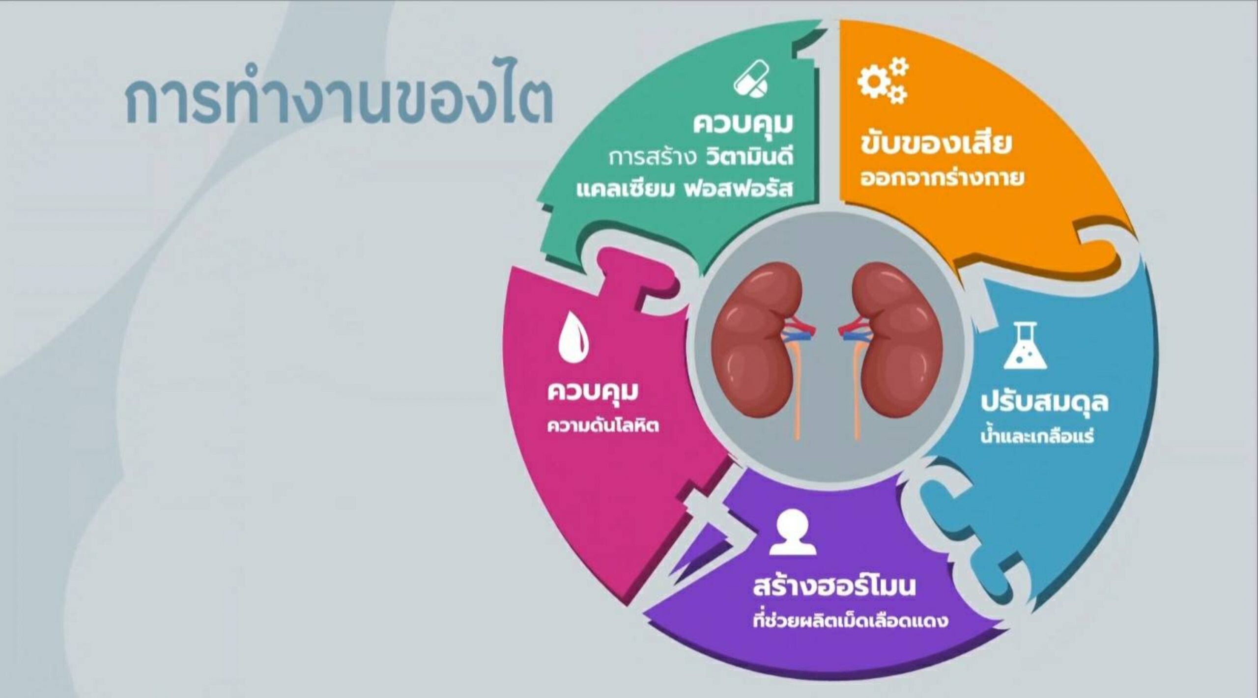 สมาคมเพื่อนโรคไตแห่งประเทศไทย ชวนชมเรื่องจริงจากผู้ป่วย "โรคไตเรื้อรัง .. รู้ไว้ รักษาเร็ว"