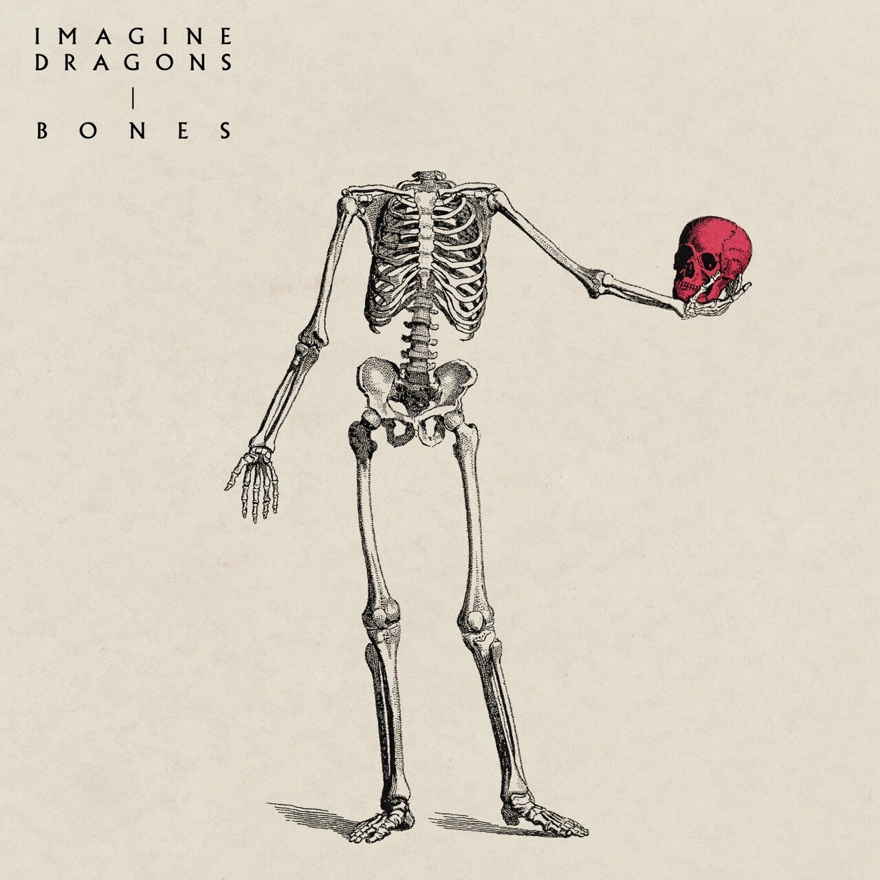 "Imagine Dragons" วงอัลเทอร์เนทีฟร็อกชื่อก้อง ปล่อยเพลงใหม่ "Bones" กับดนตรีป็อปร็อกติดหู สะท้อนความเปราะบางของชีวิต