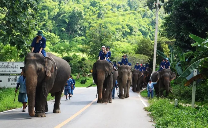 วธ.ร่วมอนุรักษ์ภูมิปัญญาช้างไทย