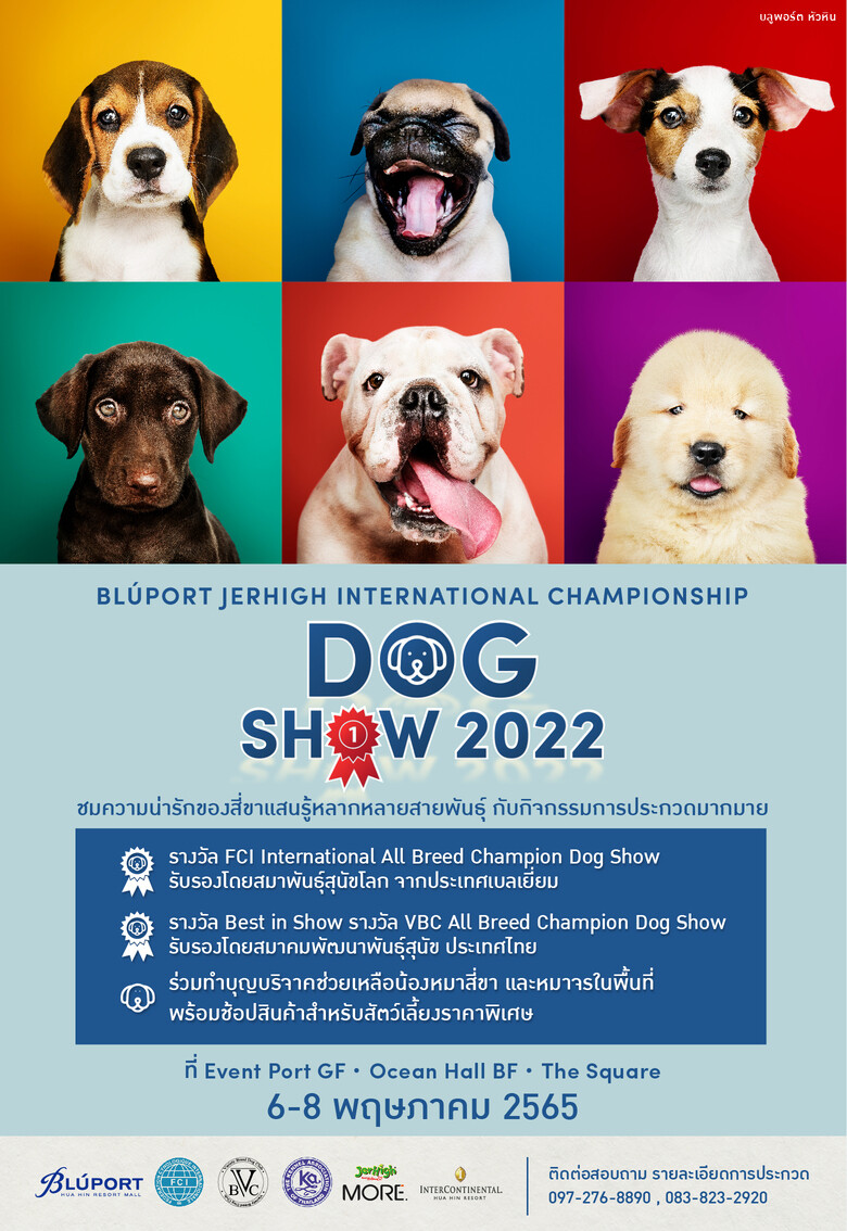 บลูพอร์ต หัวหิน ร่วมกับ ชมรม Variety Breed Dog Club เอาใจคนรักสุข จัดงาน Bluport Jerhigh International Championship Dog Show 2022 ชมการประกวดสุนัขหลากหลายสายพันธุ์ตามหลักเกณฑ์ของสมาพันธุ์สุนัขโลก 6-8 พฤษภาคม 2565 นี้