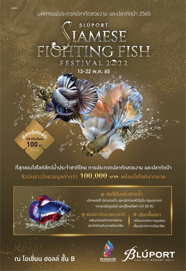 บลูพอร์ต หัวหิน ร่วมกับสมาคมปลากัด ส่งเสริมคุณค่าสัตว์น้ำประจำชาติไทยในงาน "Bluport Siamese Fighting Fish Festival 2022"
