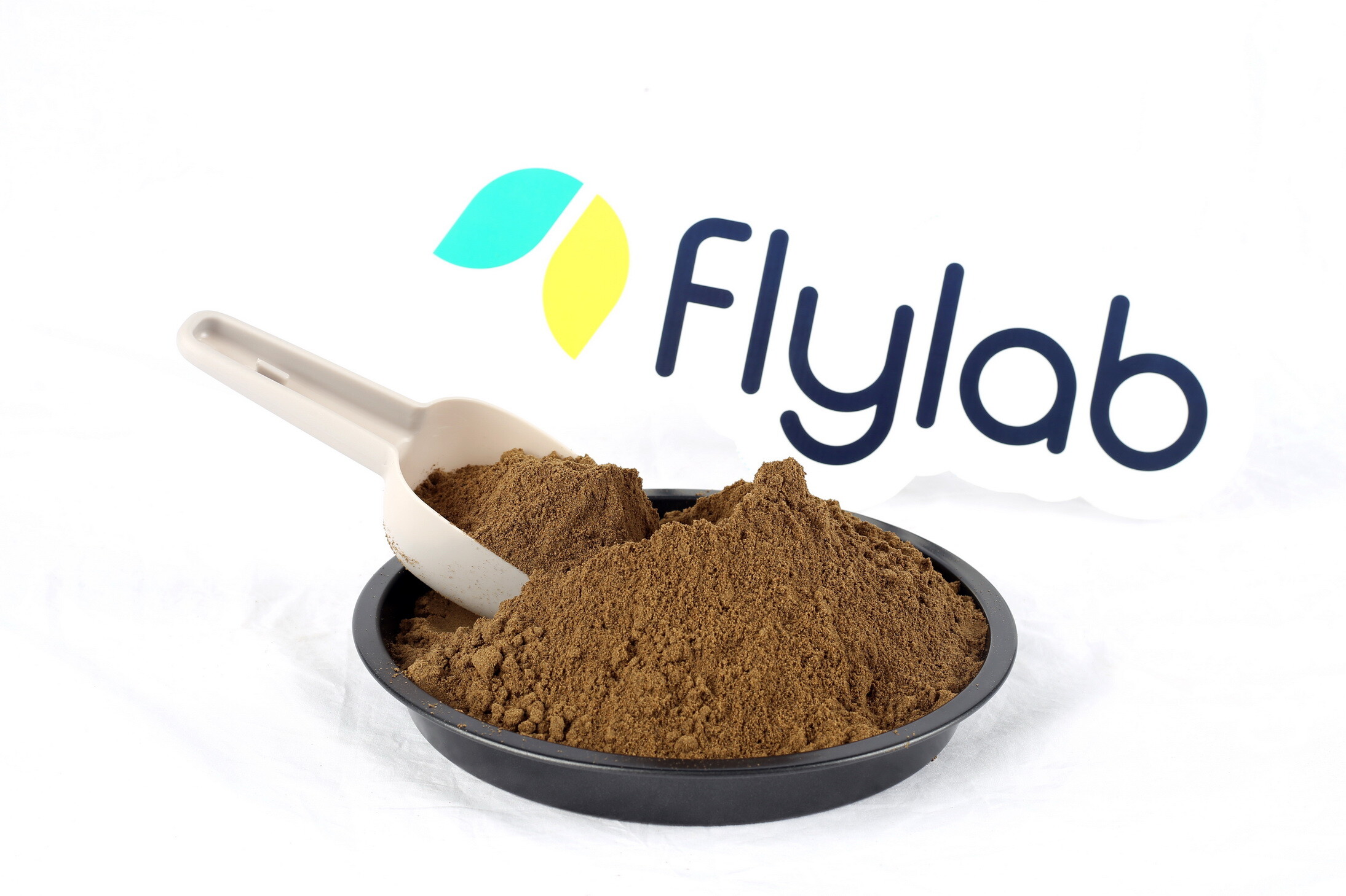 Flylab (ฟลายแล็บ) สตาร์ตอัพผู้ผลิตวัตถุดิบด้วยแมลง BSFL เผยกระแสตอบรับดีเกินคาด ตั้งเป้าการผลิตมากกว่า 1,500 ตันต่อปี