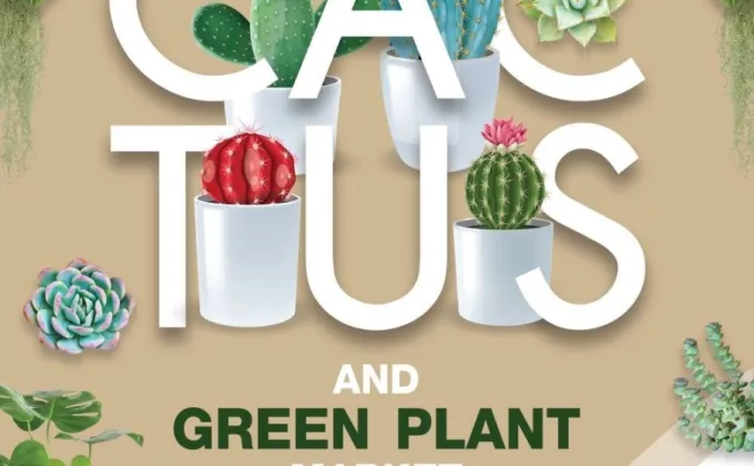 Cactus & Green Plant Market