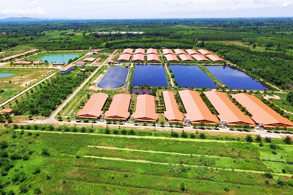 CPF เดินหน้า "Greenfarm" ฟาร์มรักษ์โลก ดันใช้ "ไบโอแก๊ส-โซลาร์ฟาร์ม" เป็นพลังงานทดแทน