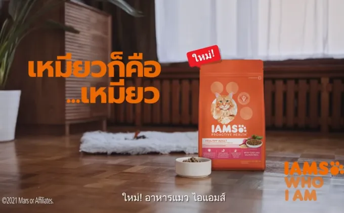 เปิดตัว IAMS(TM) อาหารแมวพรีเมี่ยมระดับโลก