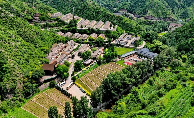 Xinhua Silk Road: N.China's Lingqiu County takes organic agriculture as effective way to promote rural development
