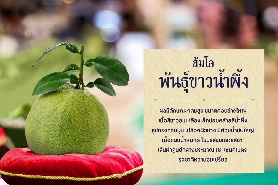 เซ็นทรัล ศาลายา ขอเชิญร่วมงาน "The Best Of Nakornpathom" อลังการงานวัด ส้มโอ และ มรดกล้ำค่าของนครปฐม