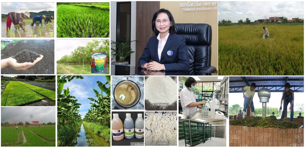 วว. เสริมแกร่งเกษตรกรรมไทย วิจัยพัฒนาปุ๋ยอินทรีย์อนุรักษ์สิ่งแวดล้อม