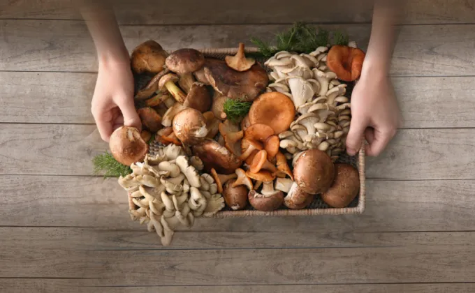 'Taste of Mushroom' ความอร่อยจากวัตถุดิบเปี่ยมด้วยคุณประโยชน์