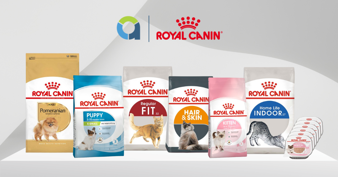 'เอคอมเมิร์ซ อินโดนีเซีย' สนับสนุน 'Royal Canin' บรรลุเป้าหมายการเติบโตอย่างแข็งแกร่งของธุรกิจออนไลน์ในมาร์เก็ตเพลสชั้นนำ