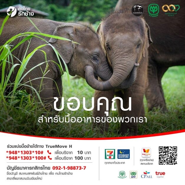 ซีพีเอฟ หนุนโครงการ "คนไทยรักช้าง" ปี 2 มอบอาหารช้าง 60 ตัน ช่วยช้างทั่วไทยฝ่าวิกฤตโควิด-19