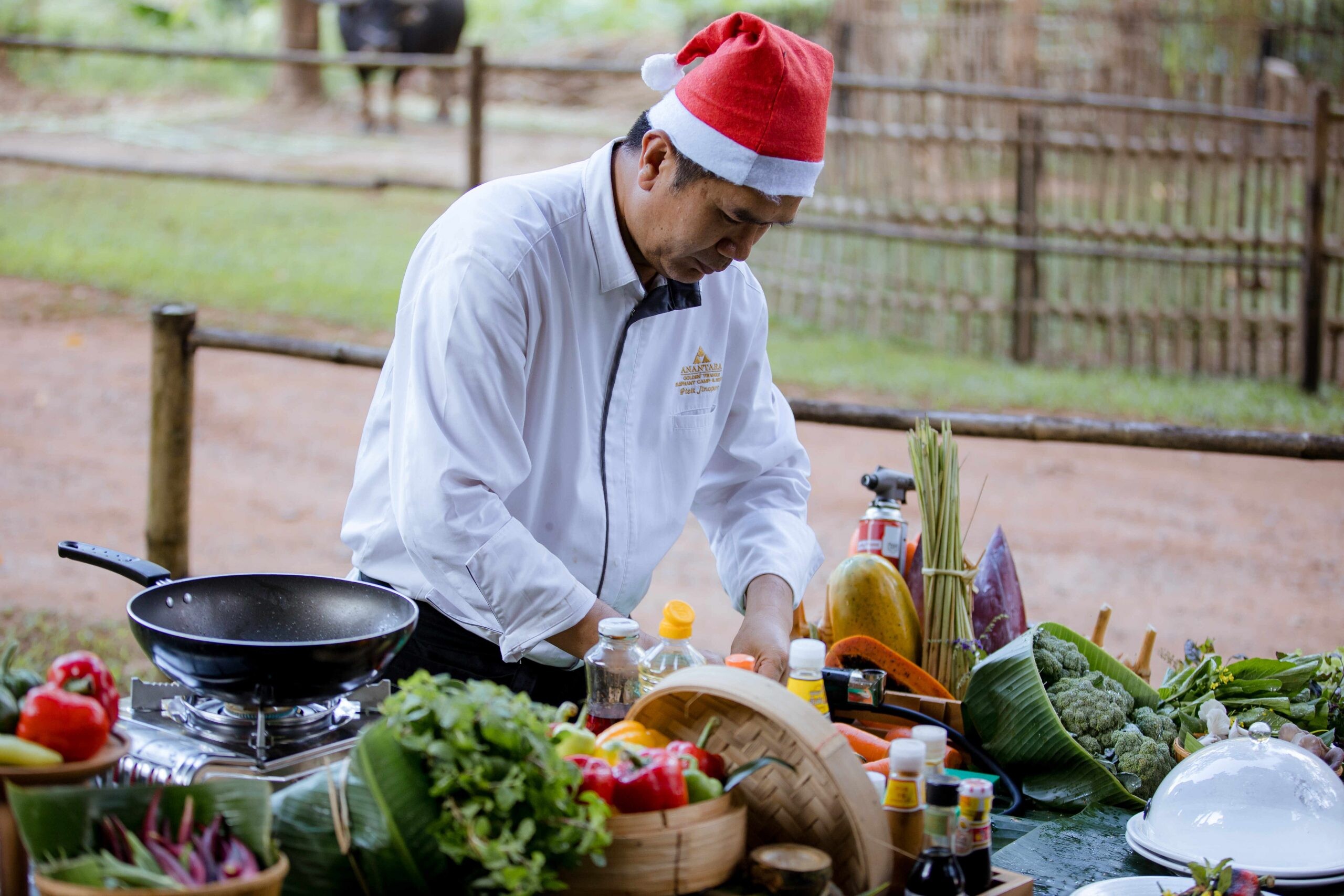 Mekhong Explorer, Festive Edition: Anantara Golden Triangle Elephant Camp &amp; Resort Sets the Stage for Magical Celebrations in the Jungle
