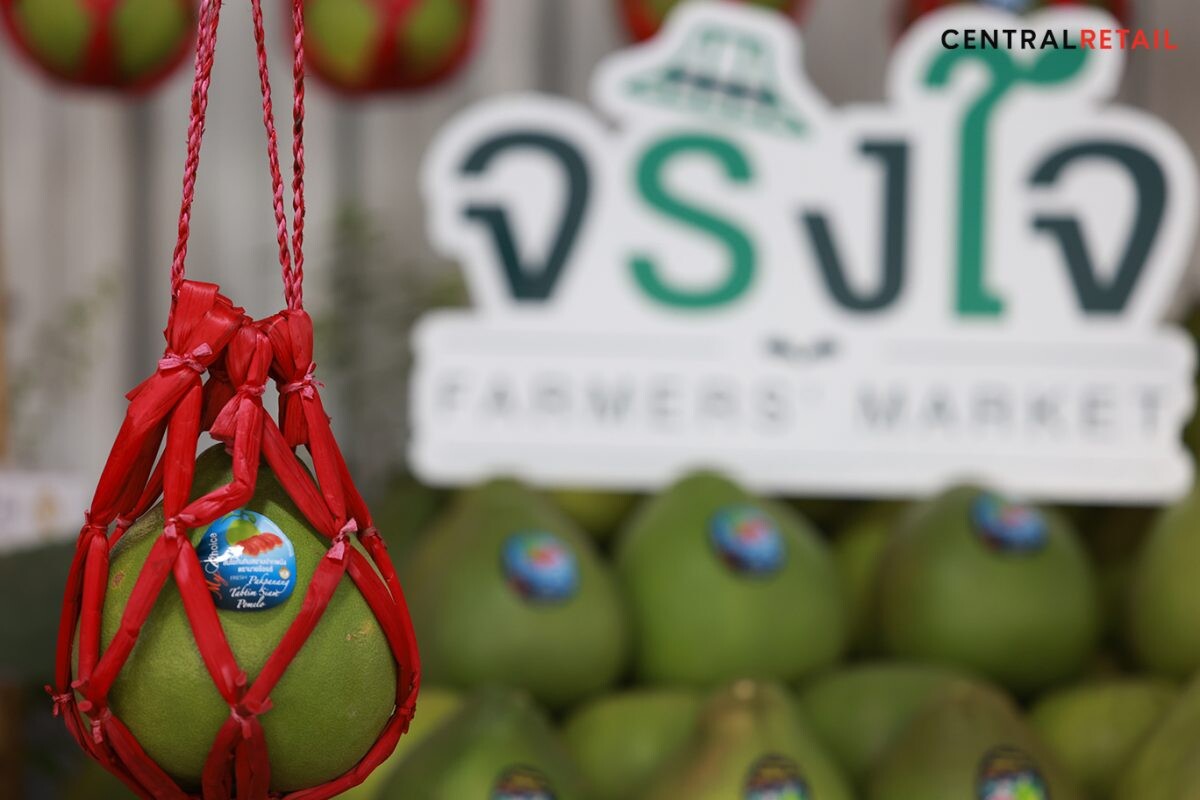 ท็อปส์ ขยายตลาดสินค้า GI หนุนเกษตรกรชาวสวนนครศรีฯ ปิดดีลสั่งซื้อล่วงหน้า "ส้มโอทับทิมสยามปากพนัง"  ล็อตใหญ่ ส่งขาย "ท็อปส์" กว่า 100 ตัน