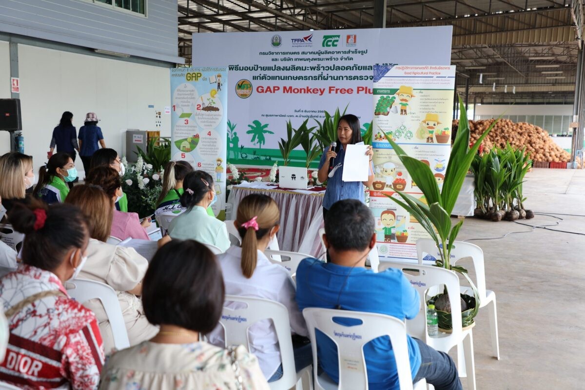 สวนมะพร้าวพันธมิตรบริษัท TCC รับมอบหนังสือรับรอง GAP Monkey Free Plus จากกรมวิชาการเกษตร เดินหน้าขับเคลื่อนประเทศไทยสู่อุตสาหกรรมมะพร้าวปลอดภัยและไม่ใช้ลิง