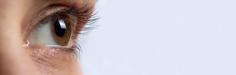 จักษุแพทย์แนะฉลองปีใหม่อย่างปลอดภัย ระวัง "เบาหวานขึ้นจอตา" โรคใกล้ตัวผู้ป่วยเบาหวาน หากไม่อยากสูญเสียการมองเห็น