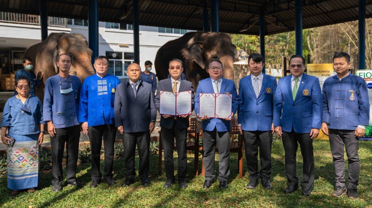 อ.อ.ป. MOU อสส. มุ่งพัฒนาองค์ความรู้ด้านงานวิชาการ - วิจัยสัตวแพทย์ 'ช้างไทย' ...