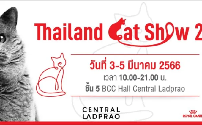 กลับมาอีกครั้ง'Thailand Cat Show