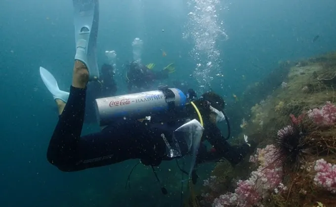 5 ปี โครงการอนุรักษ์ปะการังทะเลใต้