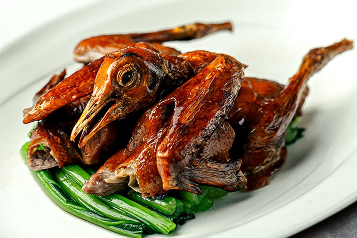 "นกพิราบฮ่องกง" ห้องอาหารจีนหยก
