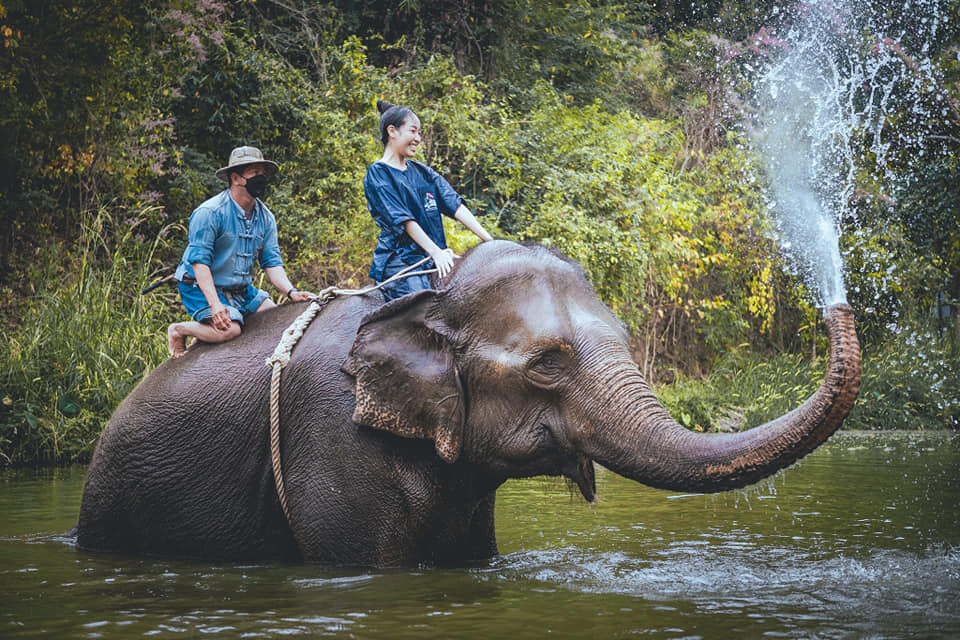 อ.อ.ป. ชวนเที่ยว 'ศูนย์อนุรักษ์ช้างไทย จ.ลำปาง' พบกับกิจกรรมความสนุกอย่างคับคั่ง สอดแทรกความรู้ 'ช้างไทย' ตลอดทั้งปี 2566...