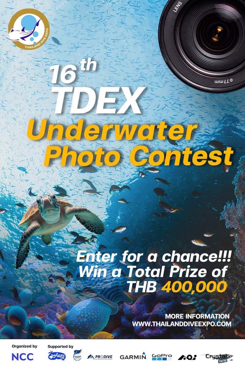 กลับมาอีกครั้ง "TDEX" ชวนร่วมประกวดภาพถ่ายใต้น้ำ ครั้งที่ 16 ชิงรางวัลรวมกว่า 4 แสนบาท