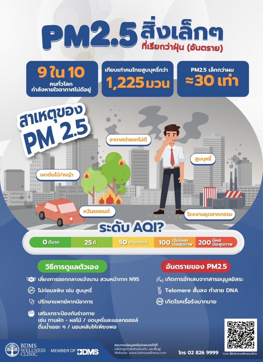 ฝุ่นพิษ PM 2.5 เพชฌฆาตร้ายทำลายสุขภาพ