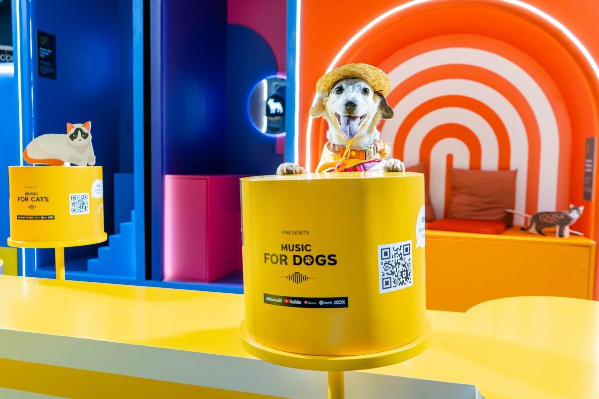 เมเจอร์ ดีเวลลอปเม้นท์ ส่ง "CIRCLE OF JOY" สังคมแห่งความสุข สีสันความสนุกครั้งใหม่ ในงาน PET EXPO THAILAND 2023