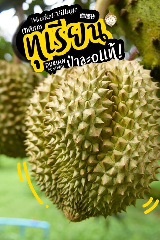 Durian Festival ครั้งที่ 8