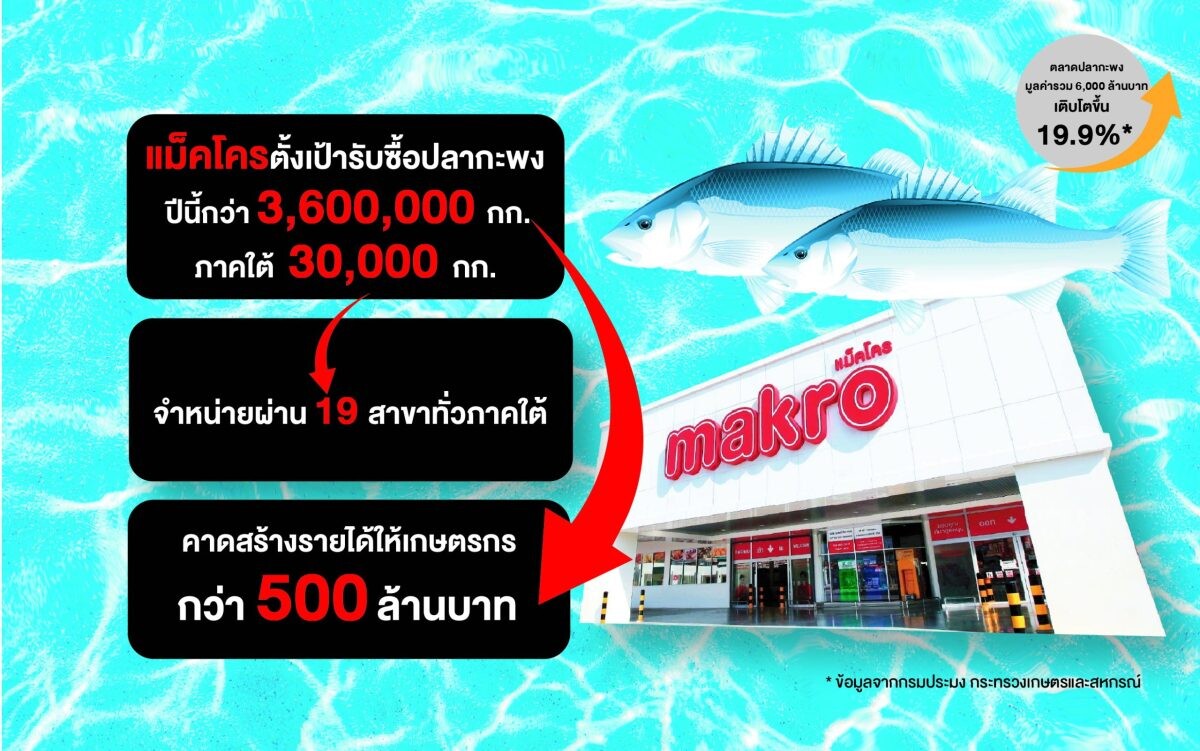 แม็คโครเคียงข้างเกษตรกรไทย จับมือพาณิชย์และประมงจังหวัดสงขลา รับซื้อปลากะพงกว่า 30,000 กิโลกรัมจากภาคใต้ แก้ปัญหาราคาตกต่ำ