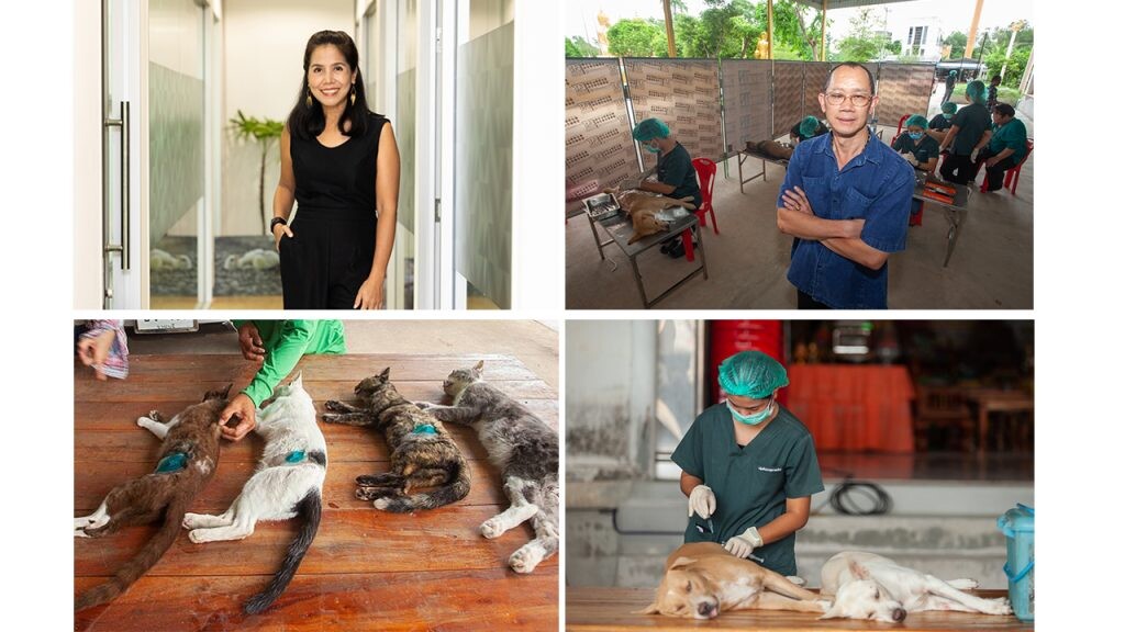 องค์กรพิทักษ์สัตว์แห่งโลกมอบวัคซีนป้องกันโรคพิษสุนัขบ้า และเวชภัณฑ์ให้สำนักงานปศุสัตว์จังหวัดราชบุรี