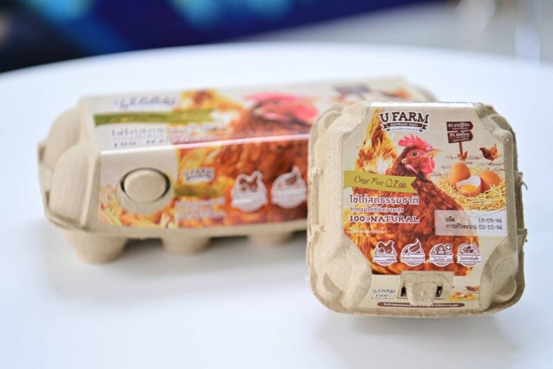 ซีพีเอฟ นำผลิตภัณฑ์ไข่ไก่เคจฟรี รับรองเป็นผลิตภัณฑ์ปลอดคาร์บอนรายแรกขอเอเชีย หนุนคนไทยบริโภคสินค้า ดีต่อสุขภาพ ร่วมดูแลสิ่งแวดล้อม