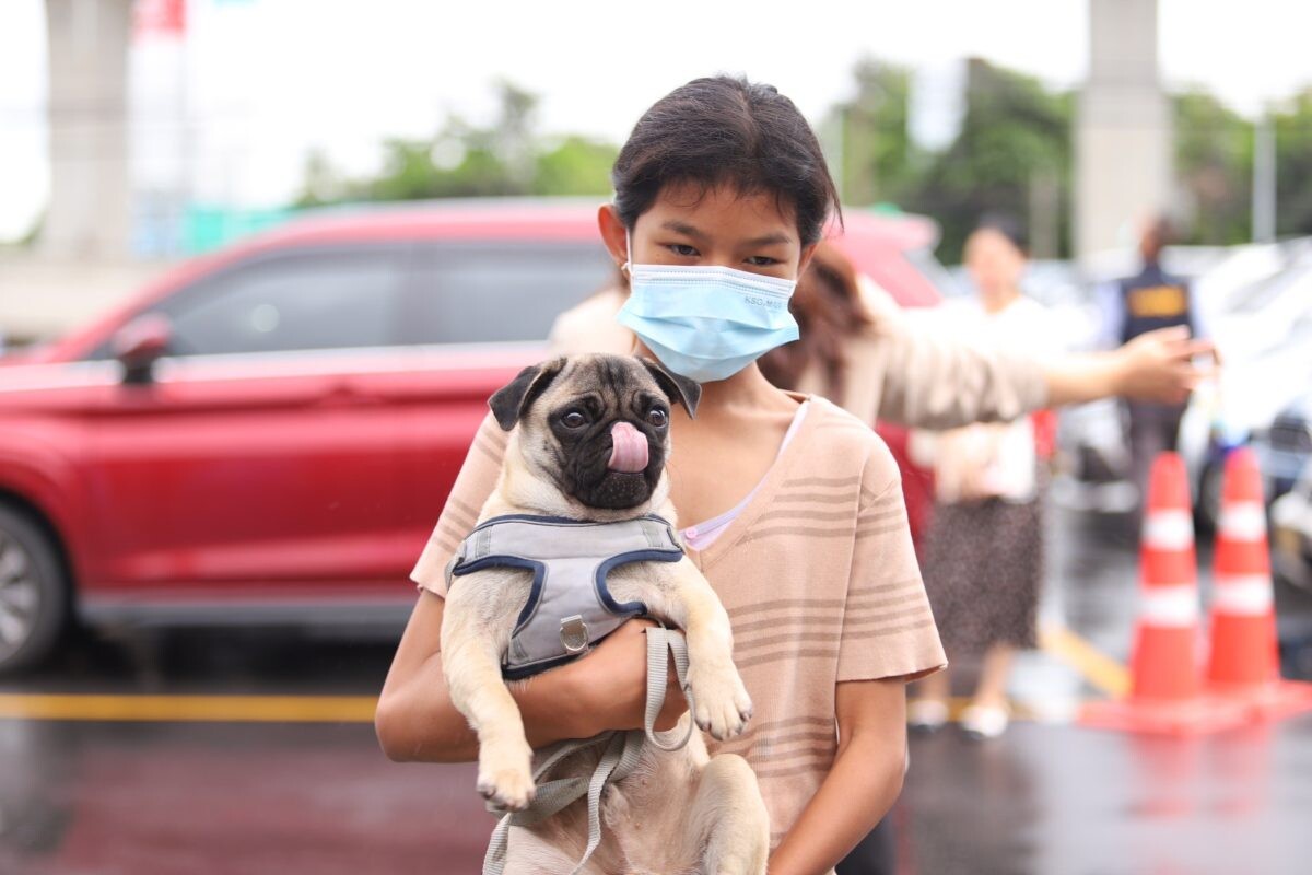 จ. นนทบุรี ร่วมกับ เซเว่น อีเลฟเว่น จัดงาน "ชุมชนคนรักหมา 4 ขาหน้าเซเว่น ครั้งที่ 1" บริการทำหมันสุนัขและแมว พร้อมบริการฉัดวัคซีนป้องกันโรคพิษสุนัขบ้า