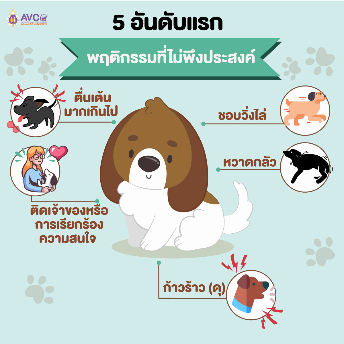 ม.วลัยลักษณ์ เผยผลวิจัยพบน้องหมาไทย มีปัญหาพฤติกรรมไม่พึงประสงค์ค่อนข้างสูง