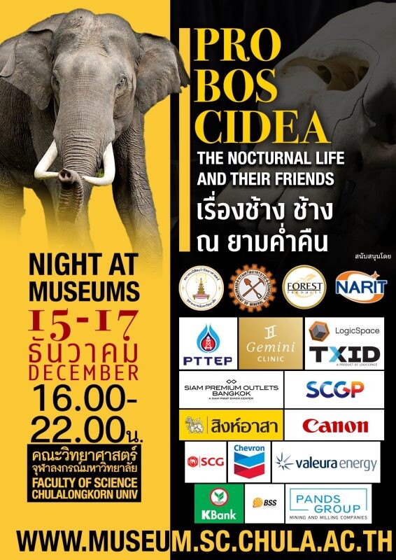 ท่องเที่ยวพิพิธภัณฑ์ในจุฬาฯ Night at the Museum @ Chula เรื่องช้าง ช้าง ณ ยามค่ำคืน