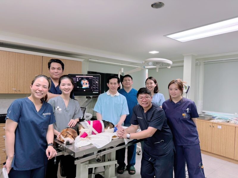 สัตวแพทย์ จุฬาฯ ผ่าตัดซ่อมลิ้นหัวใจรั่วในสุนัขด้วยนวัตกรรมใหม่ สำเร็จรายแรกในเอเซียตะวันออกเฉียงใต้และประเทศไทย