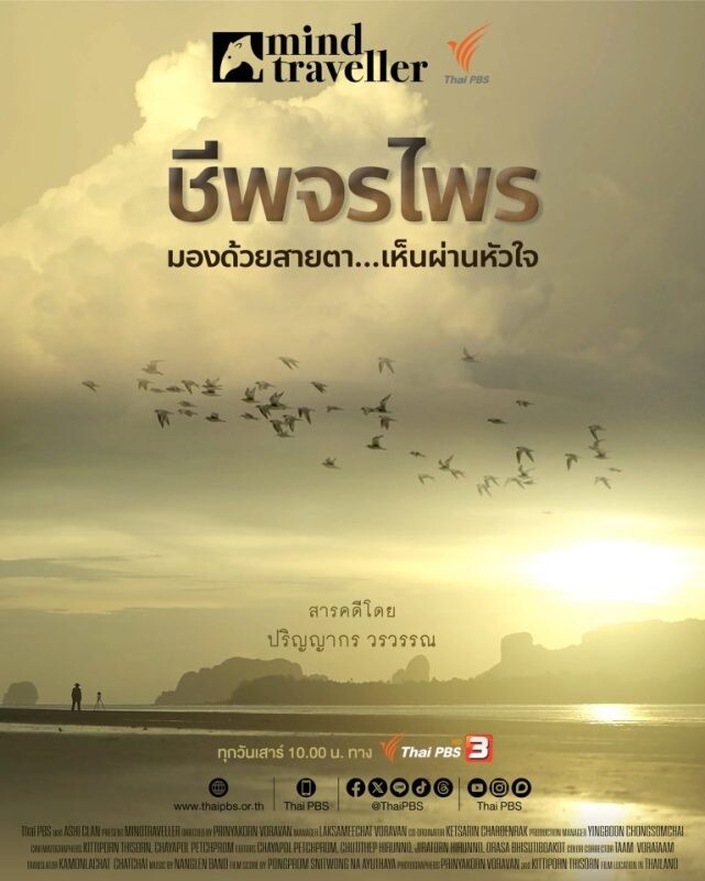 "ชีพจรไพร Mind Traveller" มองด้วยสายตา เห็นผ่านหัวใจ สารคดีคุณภาพระดับสากล ที่ไทยพีบีเอสภูมิใจนำเสนอ