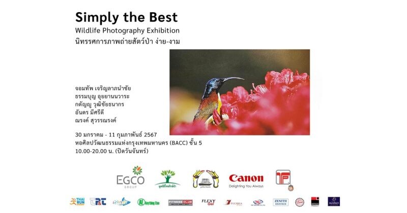 EGCO Group และมูลนิธิไทยรักษ์ป่า ชวนสัมผัสคุณค่าของสัตว์ป่าและธรรมชาติ ในนิทรรศการภาพถ่าย "ง่าย-งาม" ณ หอศิลปกรุงเทพฯ 30 ม.ค.-11 ก.พ. 67