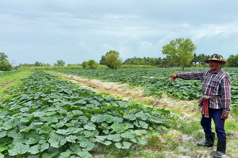 "ซีพีเอฟปันน้ำปุ๋ย" ปีที่ 23 เกษตรกรปลื้ม ช่วยลดต้นทุน-ผ่านพ้นวิกฤตแล้ง