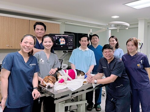 สัตวแพทย์ จุฬาฯ ผ่าตัดซ่อมลิ้นหัวใจรั่วในสุนัขด้วยนวัตกรรมใหม่ สำเร็จรายแรกในเอเชียตะวันออกเฉียงใต้และประเทศไทย