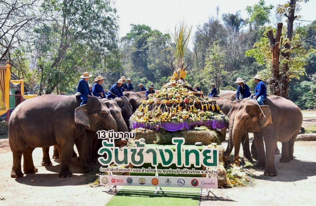 อ.อ.ป. - ส.คช. จัดงาน "วันช้างไทย 2567" มุ่งหวังคนไทยเชิดชูเกียรติ - เห็นคุณค่าของช้างไทย