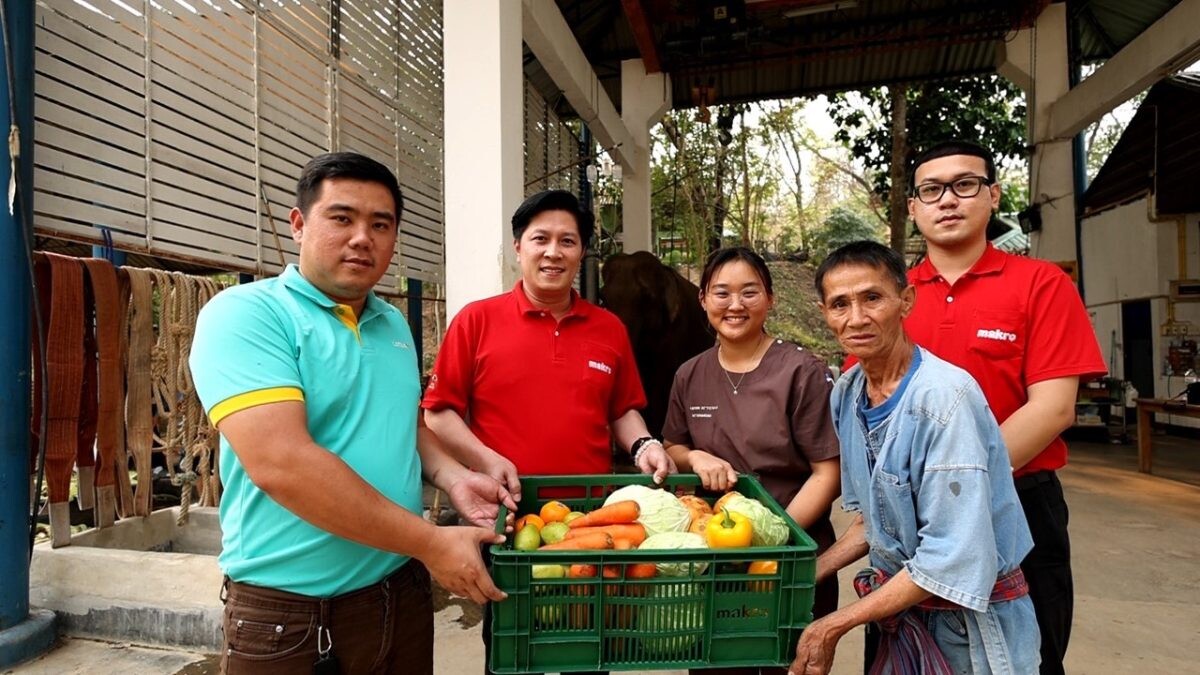 "ซีพี แอ็กซ์ตร้า" สานต่อวิถีแห่งความยั่งยืนกับโครงการ AXTRA Care ส่งมอบอาหารส่วนเกิน เติมเต็มคุณภาพชีวิตช้างไทย
