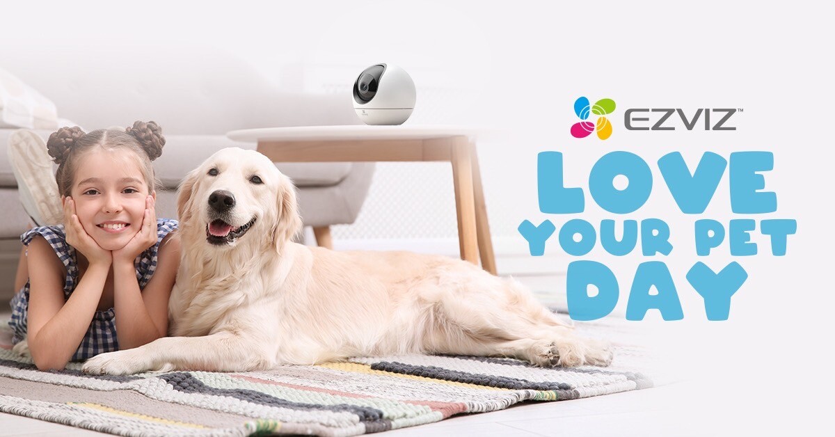 อีซี่วิซชวนลูกค้าร่วมส่งต่อความสุข สู่น้องหมาไร้บ้าน จับมือ Pet Influencer Big MooToo จัดแคมเปญ "Do Big Thing"