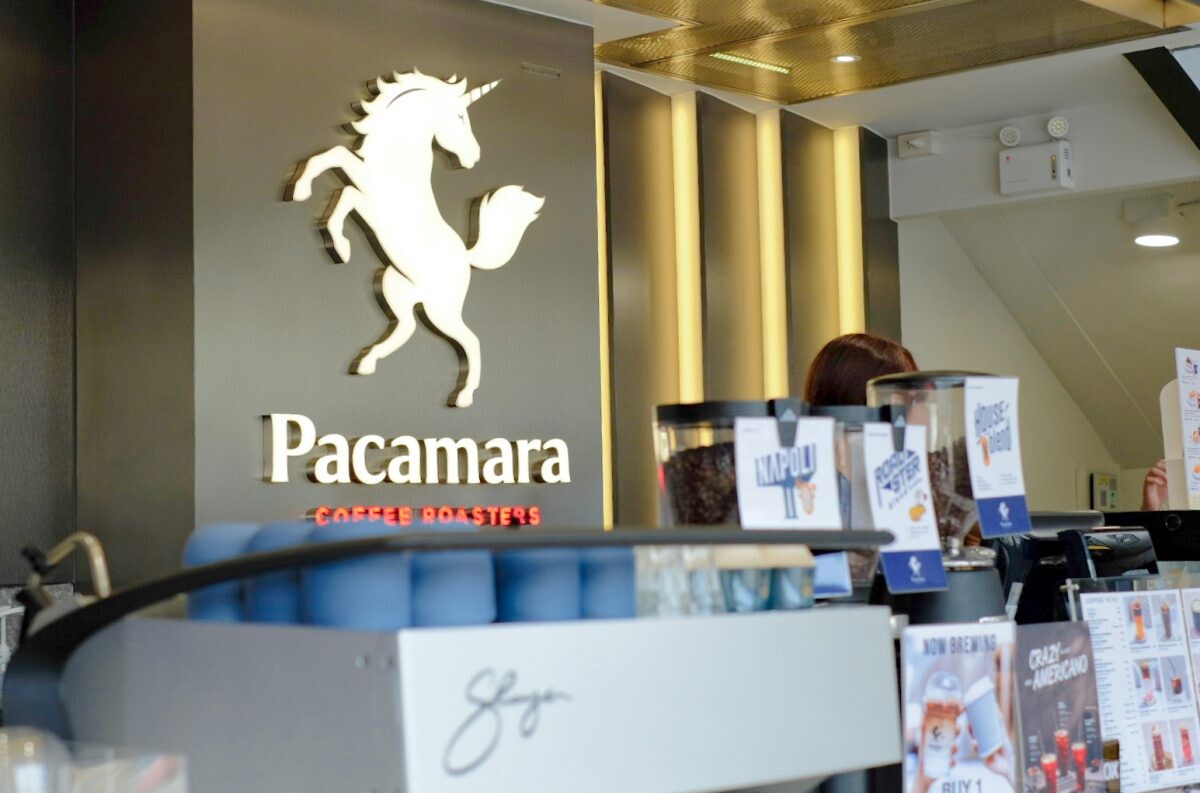 "พาคามาร่า คอฟฟี่ โรสเตอร์" (Pacamara Coffee Roasters) ฉลองครบรอบ 13 ปี ประกาศรายได้เติบโตขึ้น 40% พร้อมกางแผนขยายอีก 12 สาขา